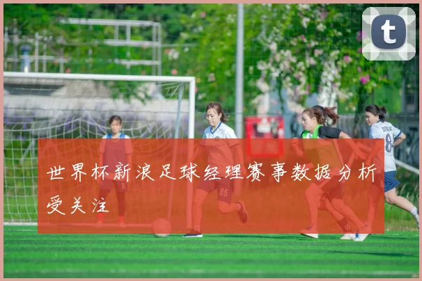 世界杯新浪足球经理赛事数据分析受关注