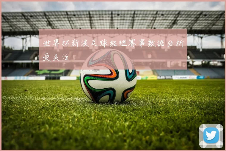 世界杯新浪足球经理赛事数据分析受关注