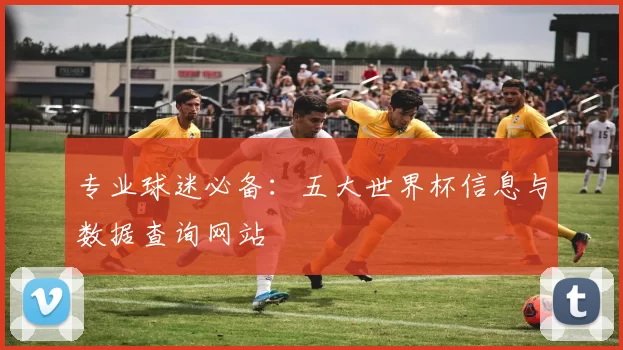 专业球迷必备:五大世界杯信息与数据查询网站