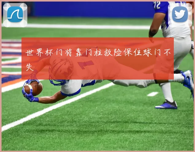 世界杯门将靠门柱救险保住球门不失