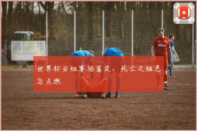 世界杯分组赛场落定,死亡之组悬念点燃