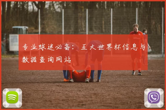 专业球迷必备:五大世界杯信息与数据查询网站
