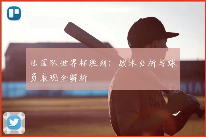 法国队世界杯胜利:战术分析与球员表现全解析
