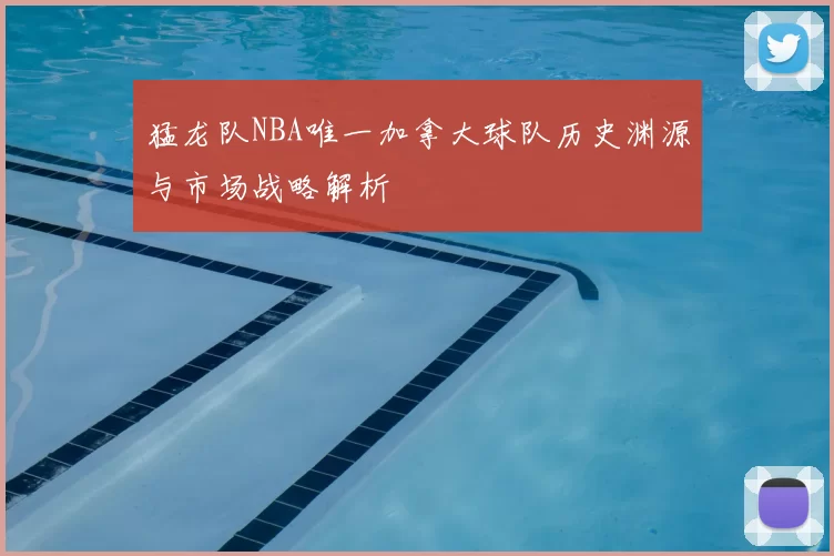 猛龙队NBA唯一加拿大球队历史渊源与市场战略解析