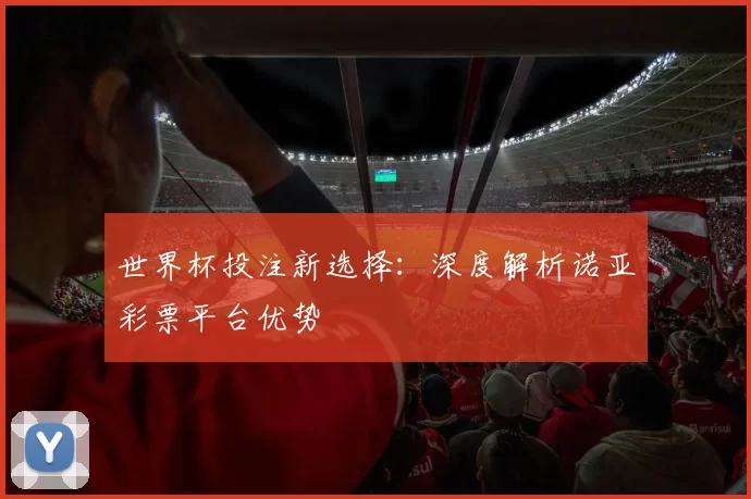 世界杯投注新选择:深度解析诺亚彩票平台优势