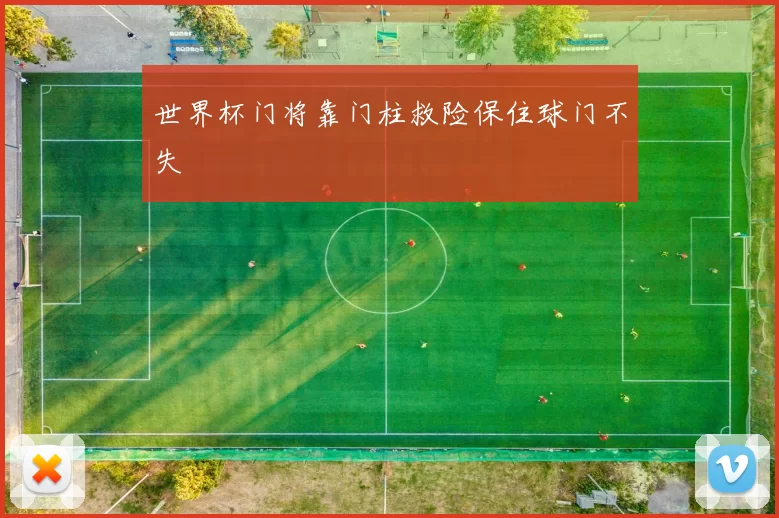 世界杯门将靠门柱救险保住球门不失