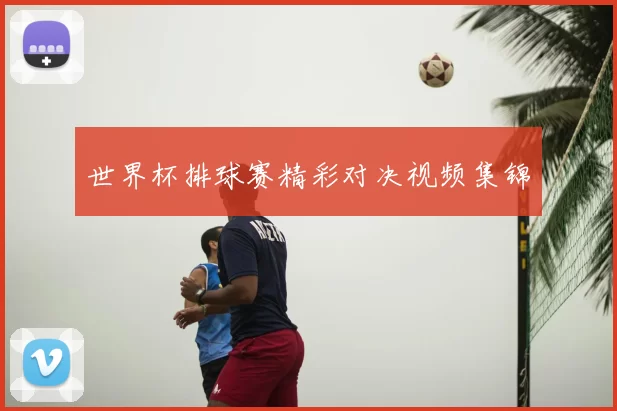 世界杯排球赛精彩对决视频集锦