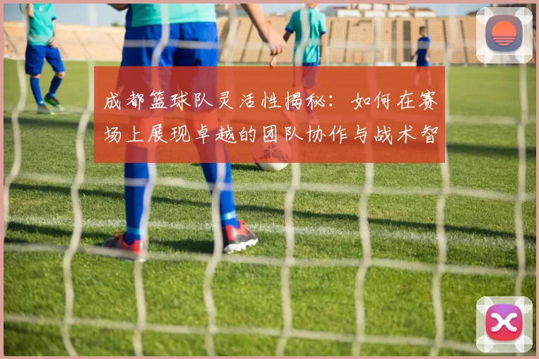 成都篮球队灵活性揭秘:如何在赛场上展现卓越的团队协作与战术智慧